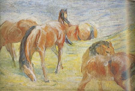 Franz Marc Graing Horses i (mk34) France oil painting art
